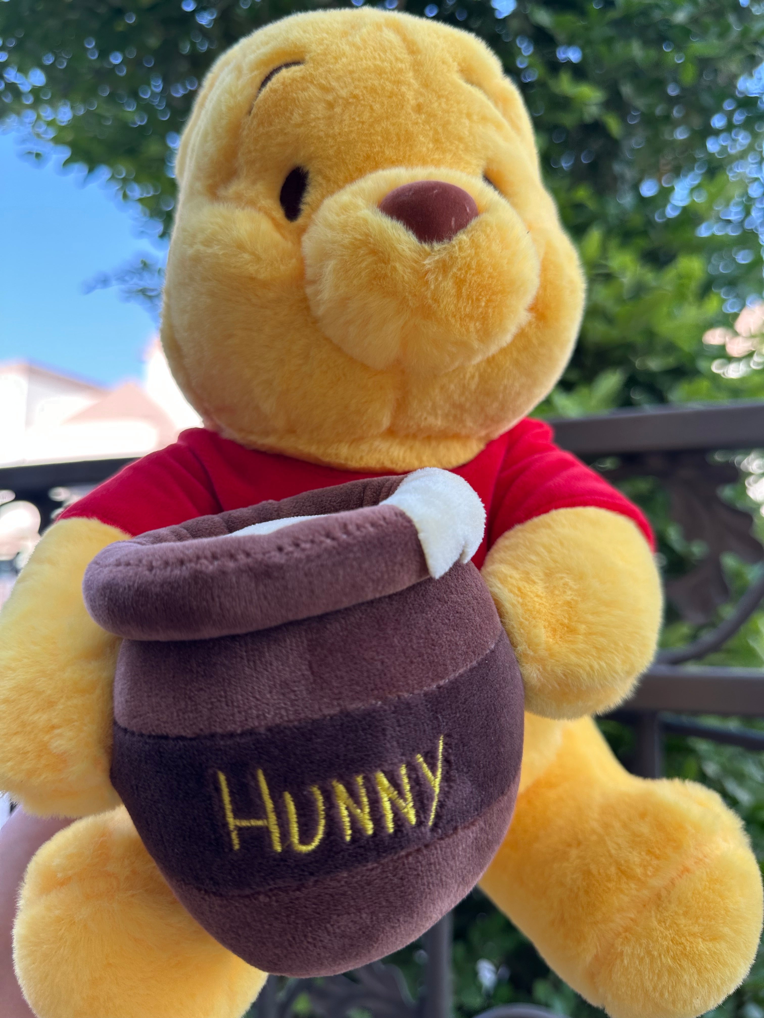 Winnie The Pooh