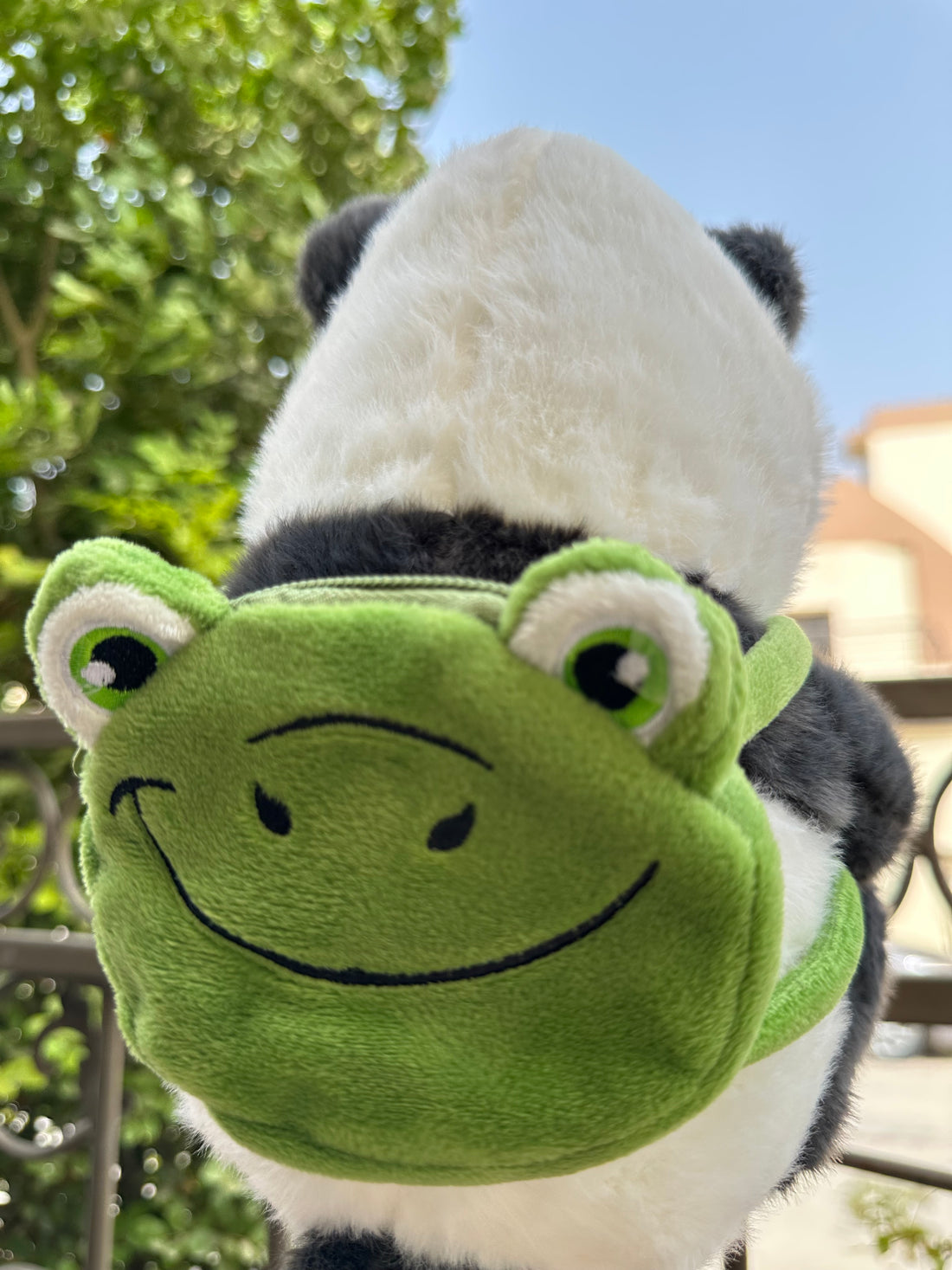 Panda & Froggy explorer plushie - 25 cm