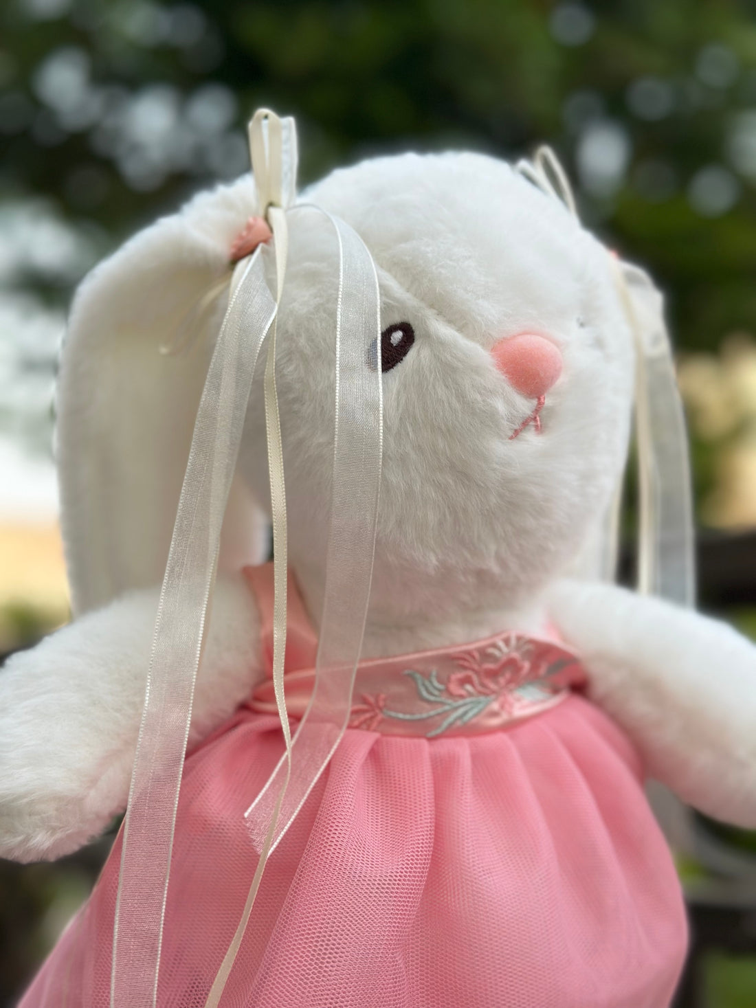 Pookie plushie