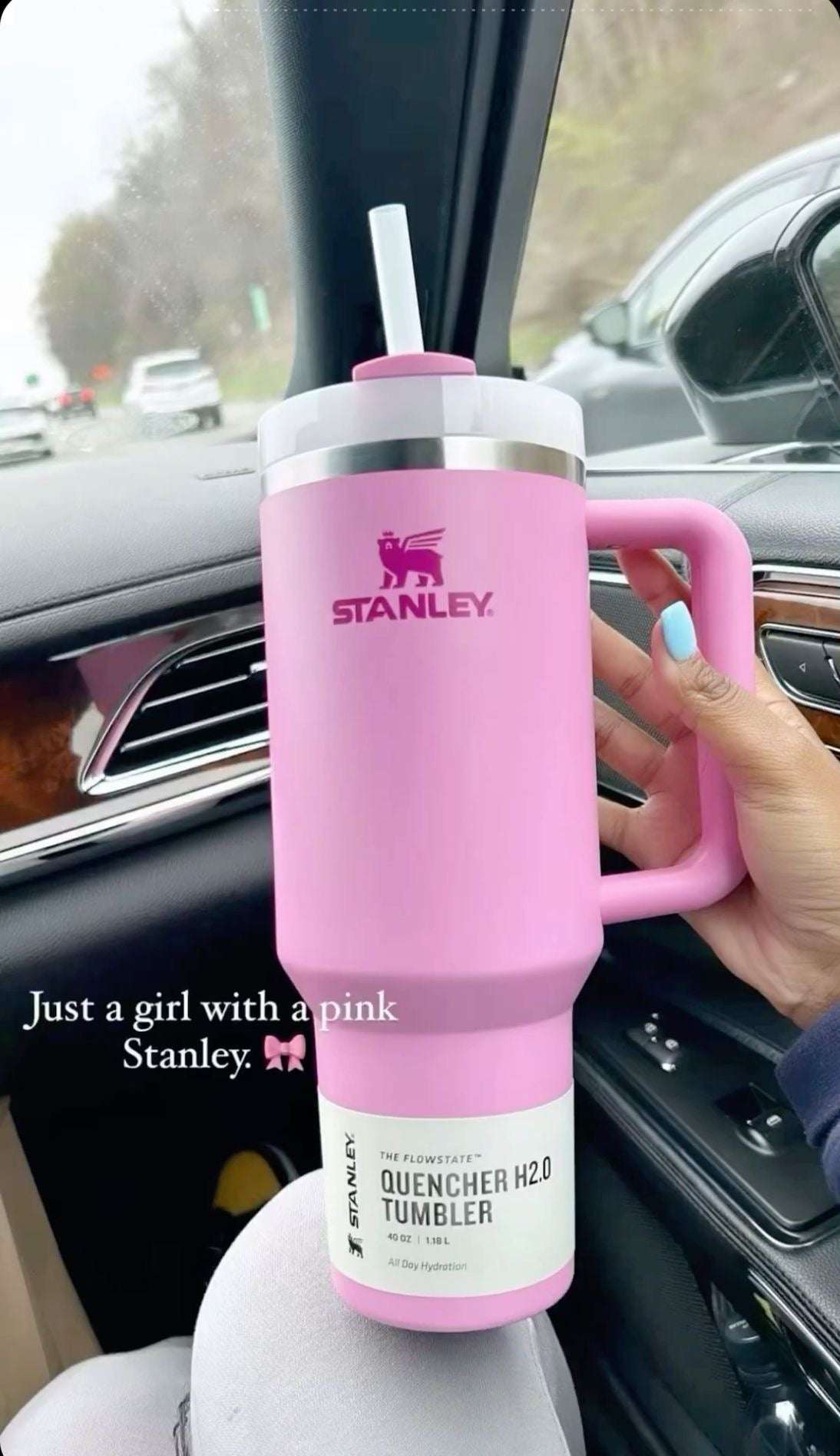 Stanley Quencher H2.0 Flowstate Tumbler -Pink 40 oz