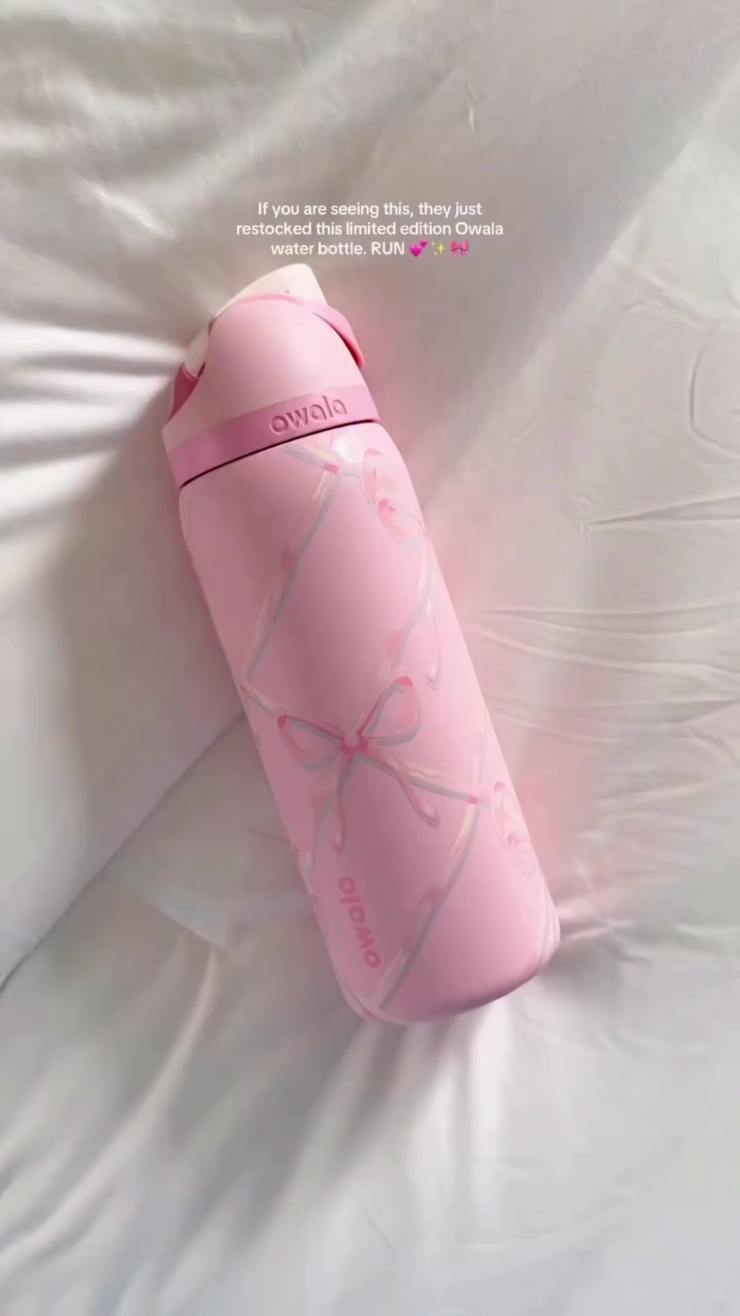 SugarPlumFairy Owala FreeSip Bottle
